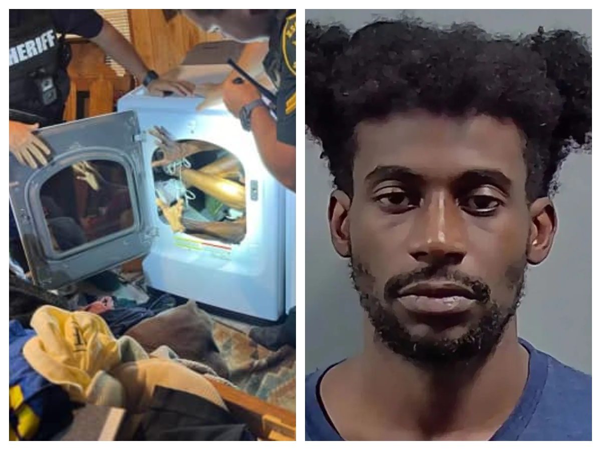 Florida man attempting to evade arrest was found ‘folded’ in ‘remarkably small’ clothes dryer