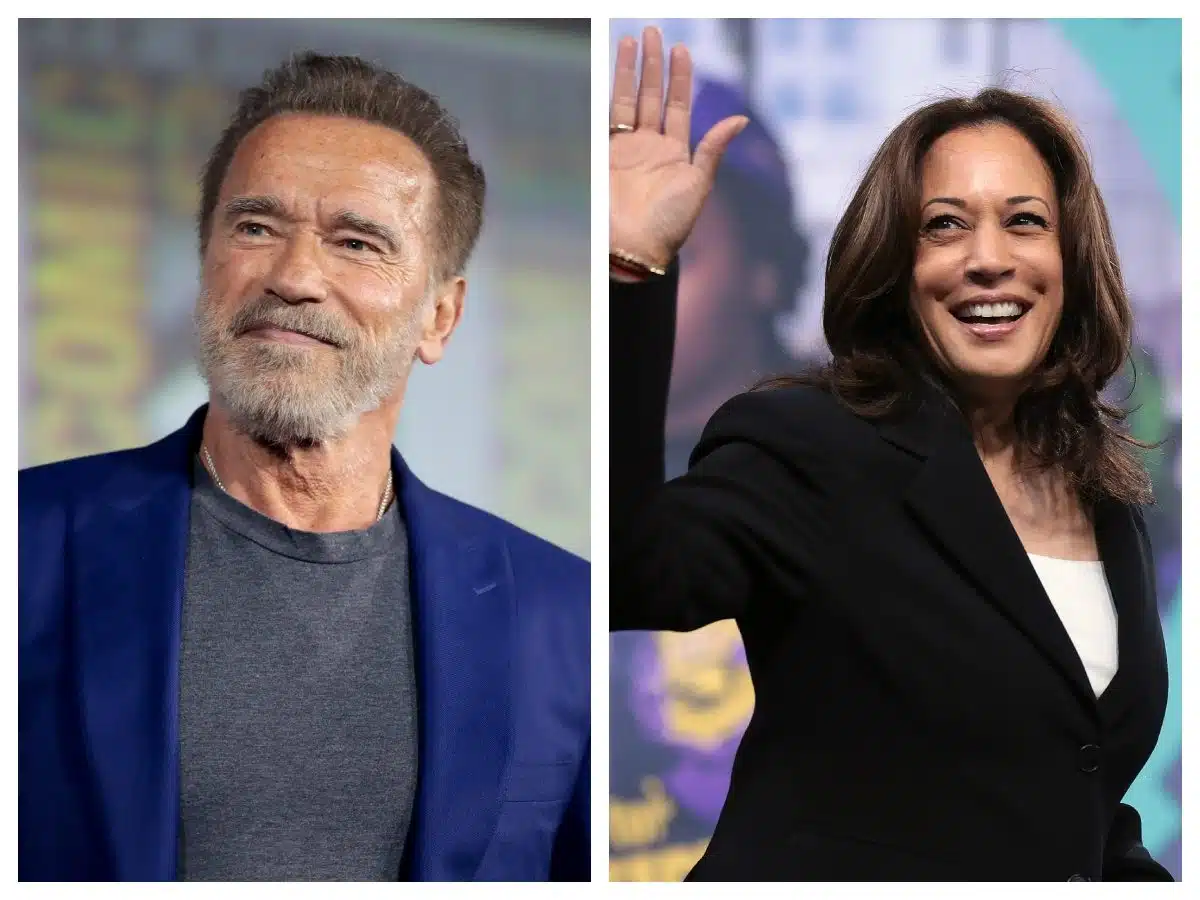 ‘He will divide, he will insult’ – Arnold Schwarzenegger slams Trump, endorses Harris