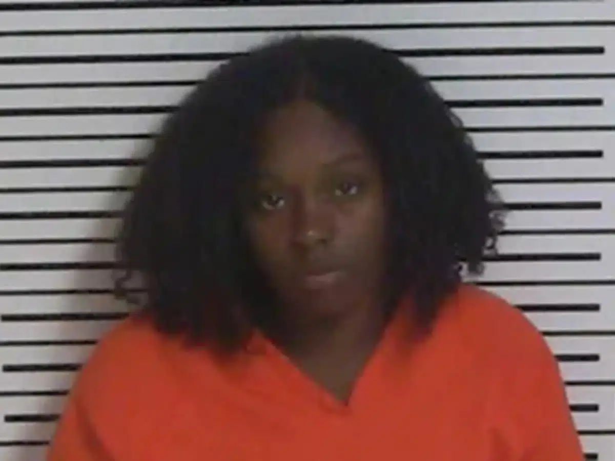 Mother accused of running her son over and abandoning him before falsely reporting kidnapping