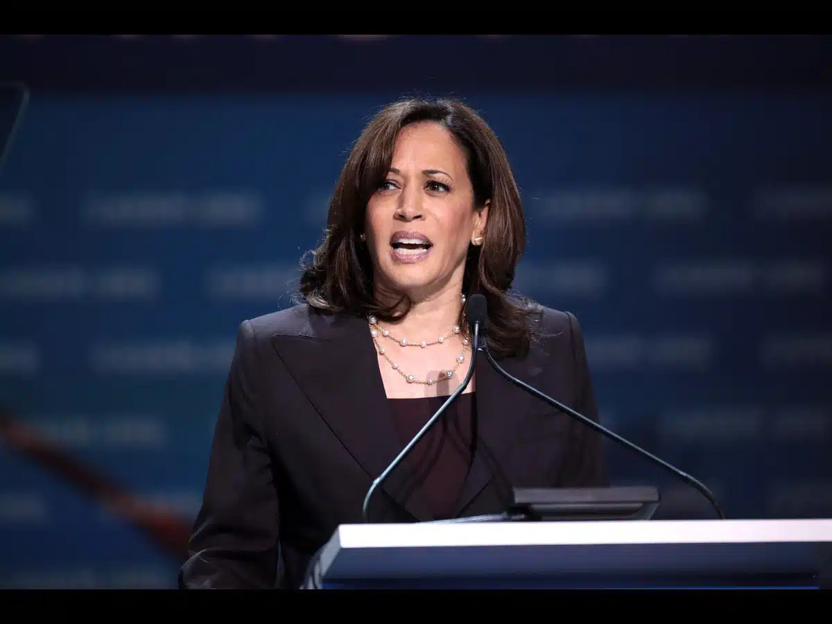 5 real reasons Kamala Harris lost the election